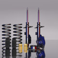 An Overview of Shocks and Struts